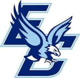 Blue eagle logo with spread wings and geometric angular design elements