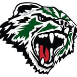 Aggressive wolf head mascot logo with green eyes and red mouth, showing teeth in a snarl